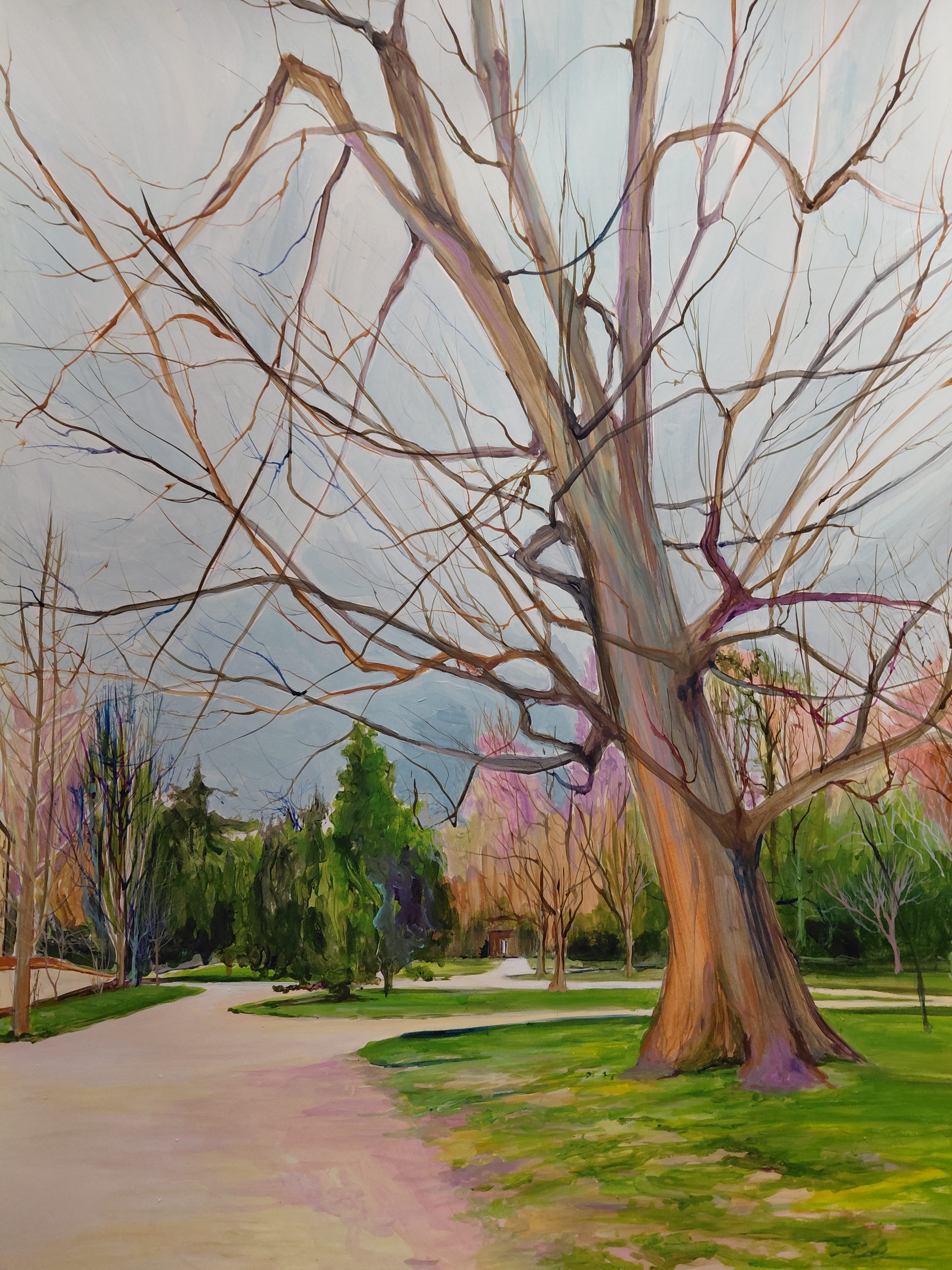 Nouveau paysage